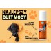 TWX® Home Pet Odor & Stain Eliminator 
