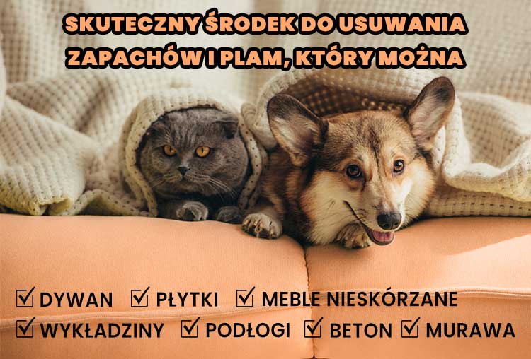 TWX® Home Pet Odor & Stain Eliminator 